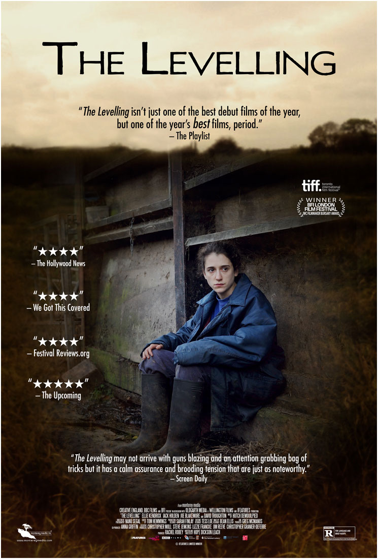 The Levelling Poster Art